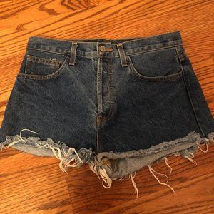 Brandy Melville High Waisted Denim Shorts